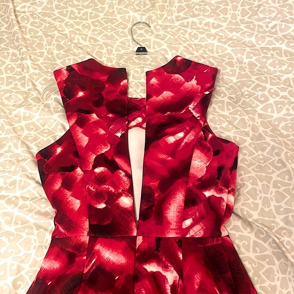 The Limited Red Dress. Worn Once. Great Quality!!! - Picture 4 of 4